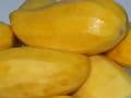dried mango from pattaya009
