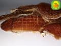pattaya dried meat131