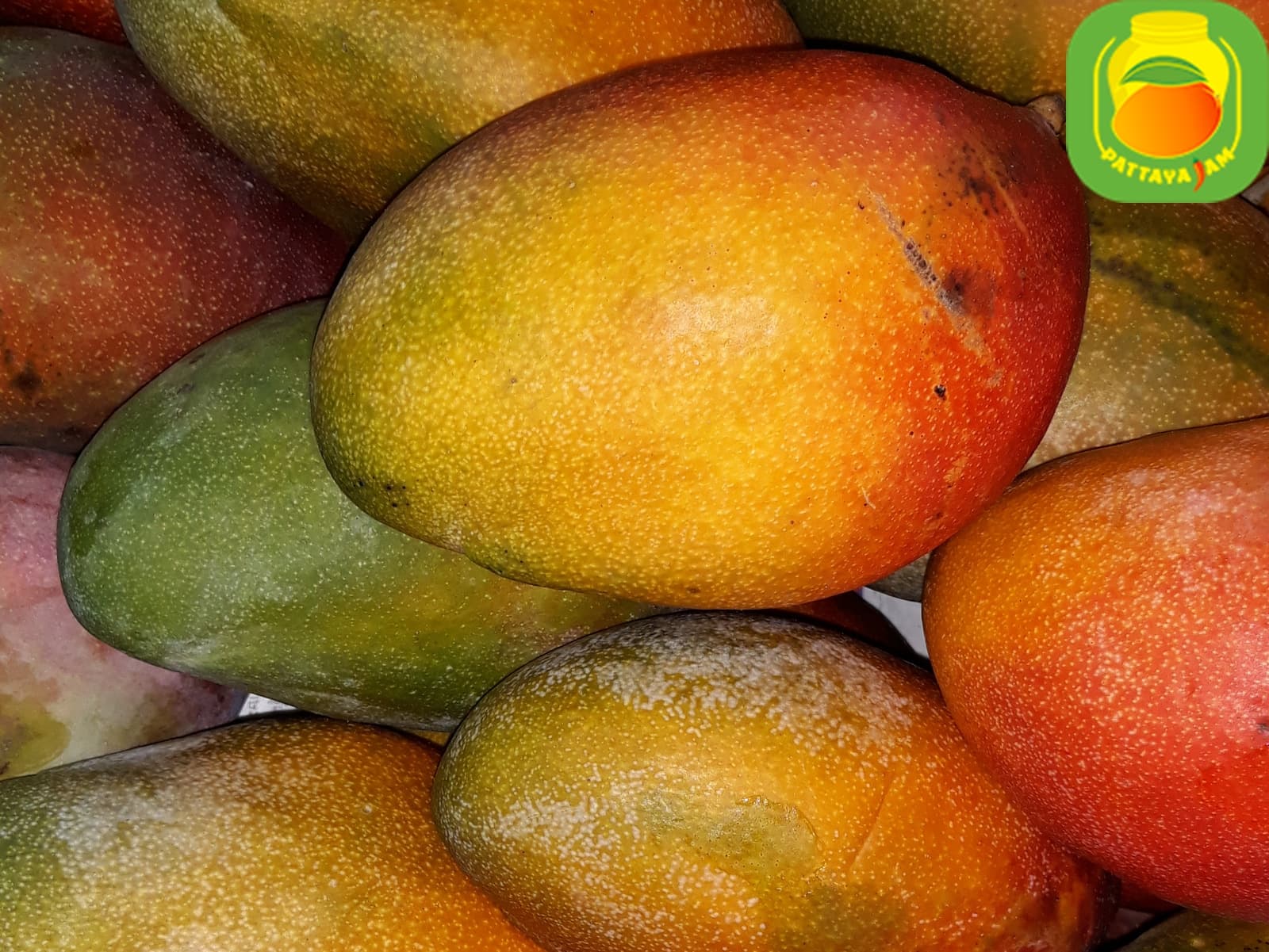 Разновидности манго фото и название